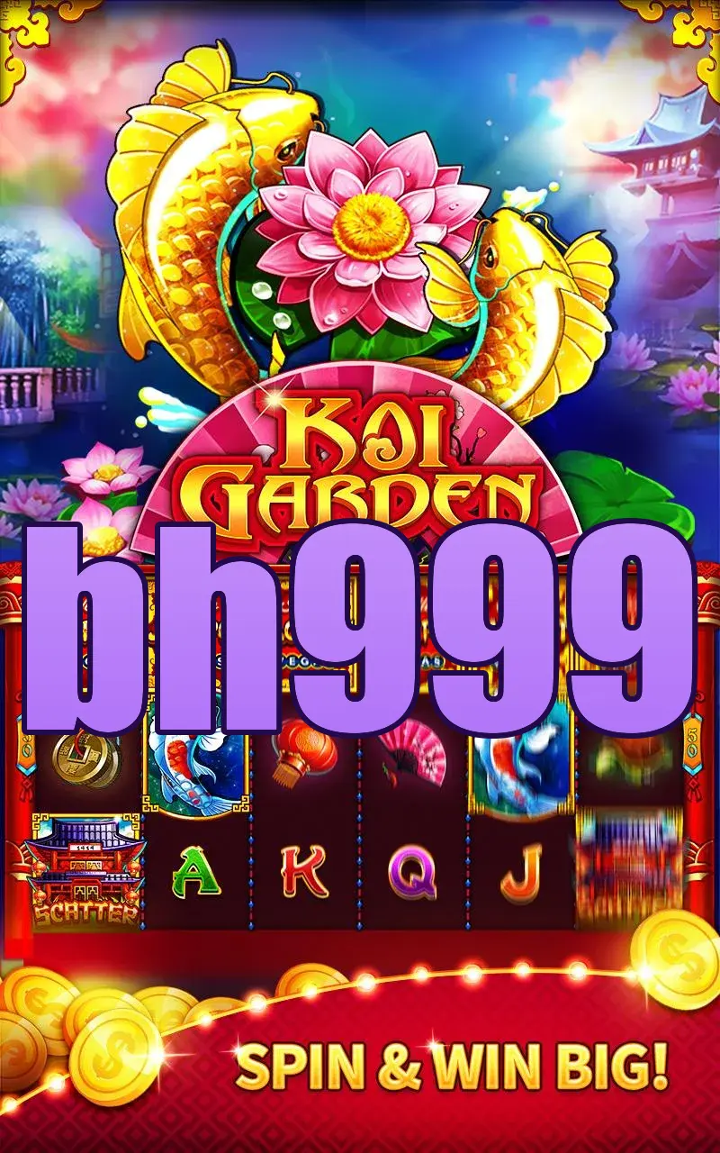 bh999 APK